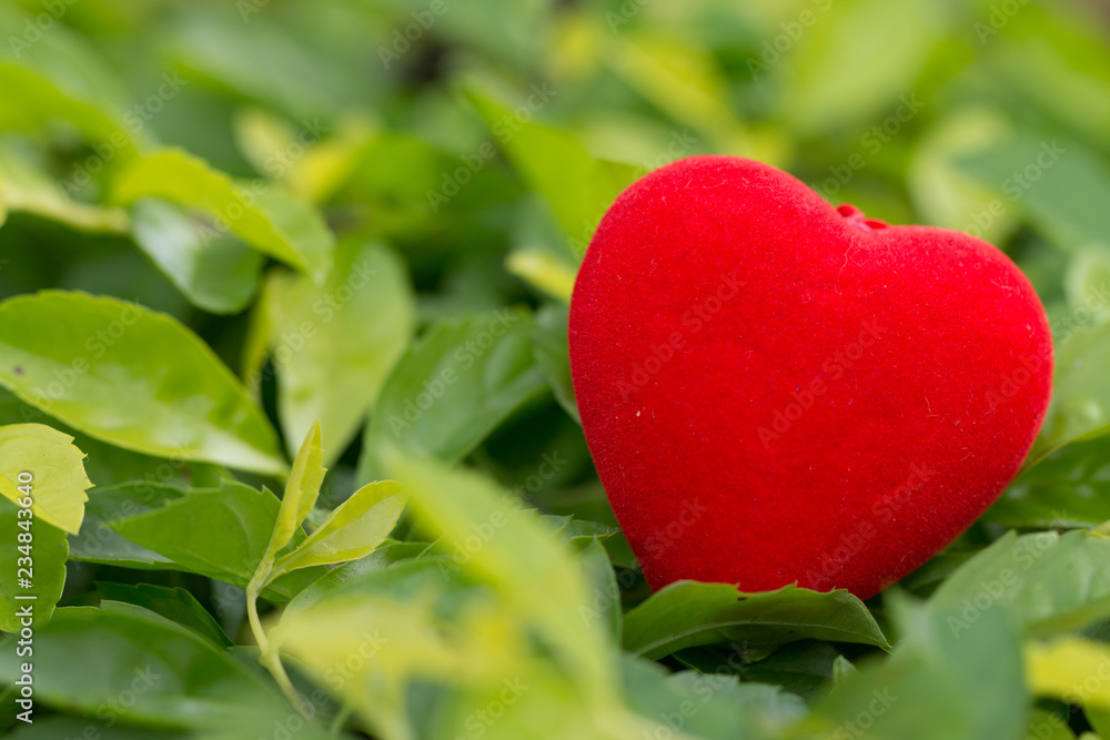 Valentines day concept, red decorate heart on a vintage green natural background design for greeting card with copy space for you text Valentines day concept, red decorate heart on a vintage green natural background design for greeting card with copy space for you text