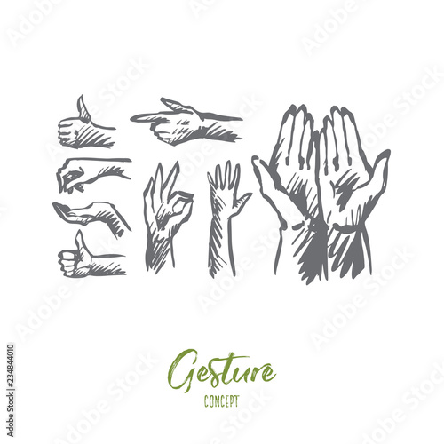 Hand, palm, human, finger, gesture concept. Hand drawn isolated vector.