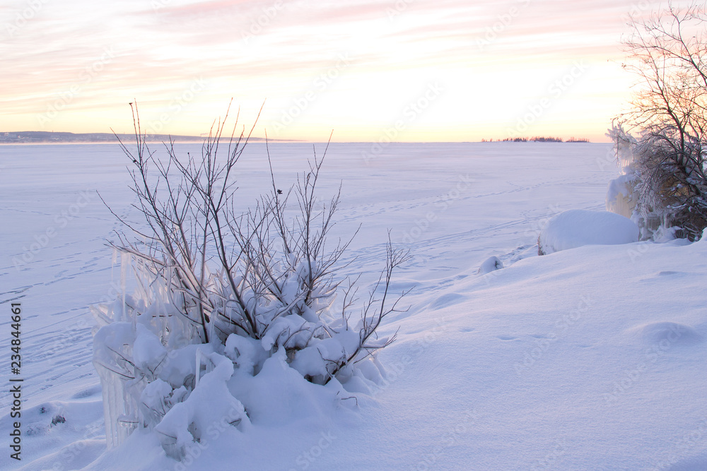 Calm winter snowscape with iced bush on the shore of frozen lake Calm winter snowscape with iced bush on the shore of frozen lake