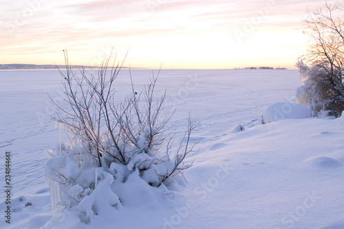 Calm winter snowscape with iced bush on the shore of frozen lake