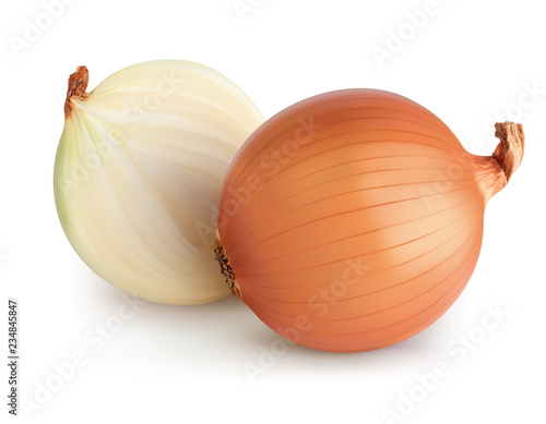 Onions isolated. Realistic vector 3d illustration