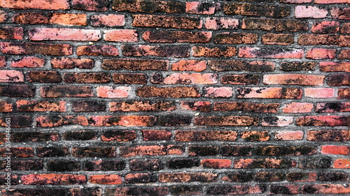 Ancient Wall paper form Brick Ayutthaya