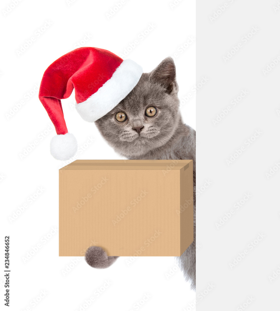 Fototapeta premium Cat in red christmas hat with a cardboard box in his paws above white banner. isolated on white background