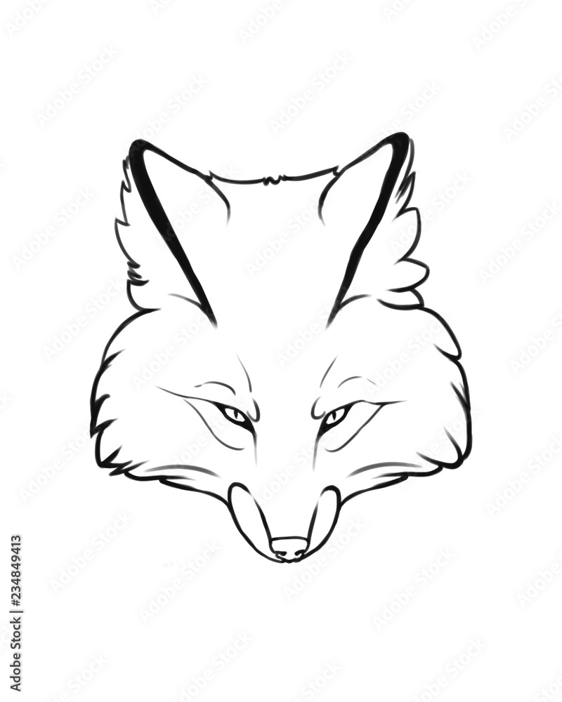 Fototapeta premium Fox 