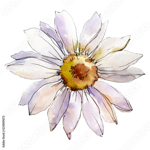 Canvas Daisy flower