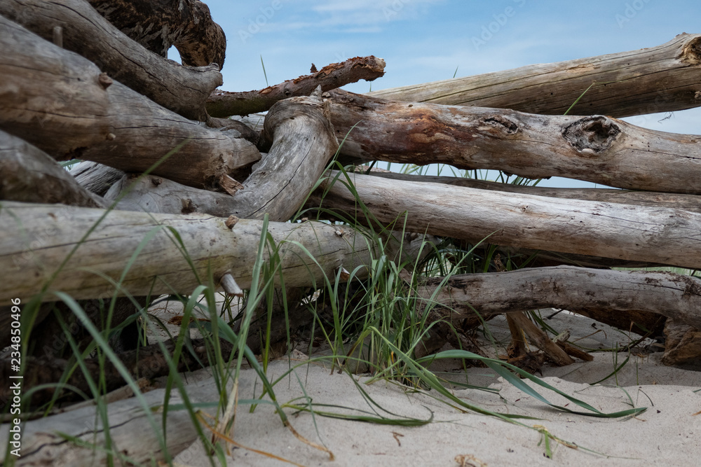Windbreak made of beach wood