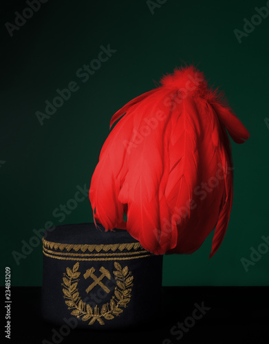 Fotografie barbórka