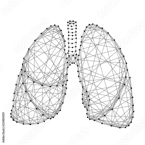 Lungs human organ of respiration from abstract futuristic polygonal black lines and dots. Vector illustration.