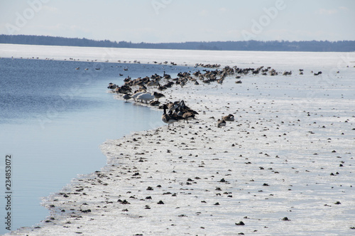 Spring in Varnamo photo