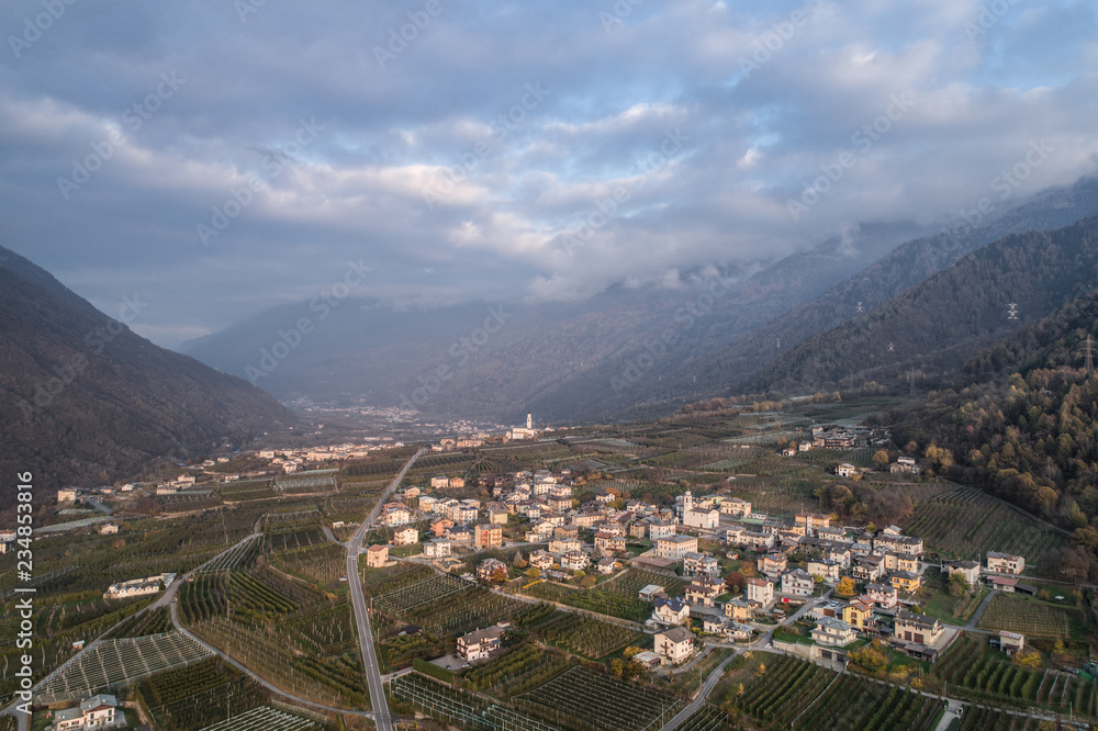 Orchards and vineyards in Valtellina, little village of Sernio near Tirano. Province of Sondrio