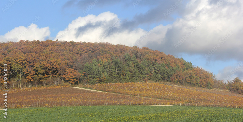 paysage à l automne
