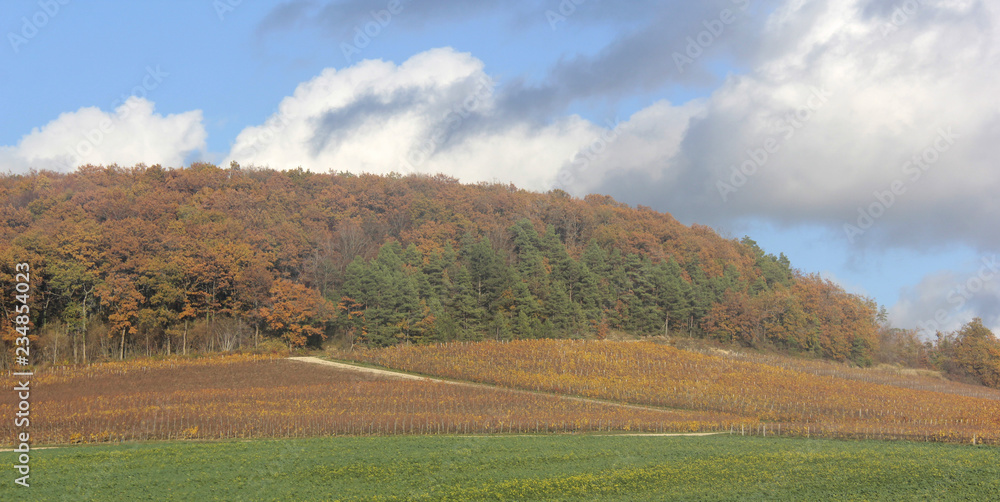 paysage à l automne paysage à l automne