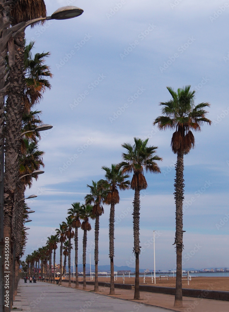 Palm trees at Valencia beach. Travel, summer, vacation and tropical beach concept.