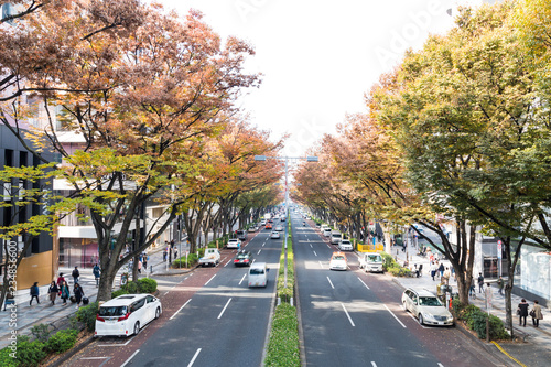 (東京都ｰ都市風景)並木道が赤く染まる表参道８