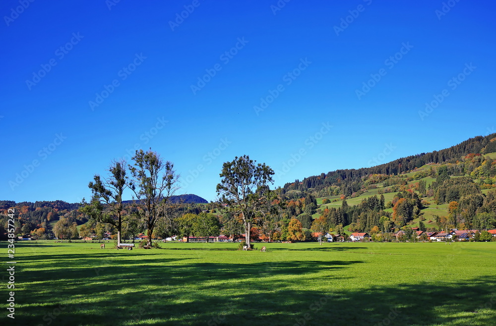 Naklejka premium Waltenhofen