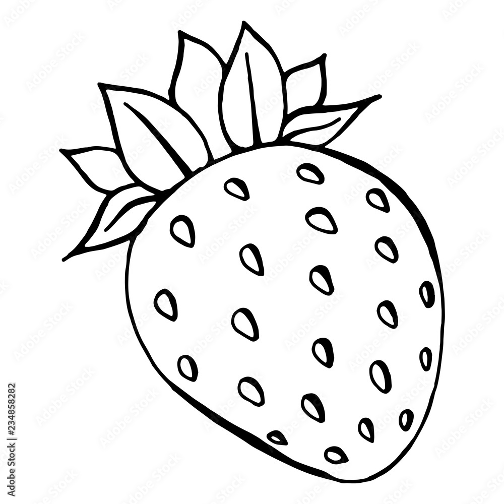 Strawberry. Vector illustration of an icon, logo a strawberry . Hand drawn strawberry. Strawberry. Vector illustration of an icon, logo a strawberry . Hand drawn strawberry.