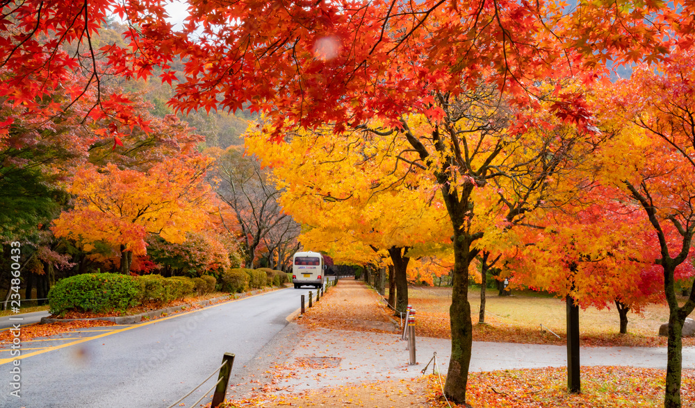 Foto De 단풍이 아름다운 가을 풍경 Do Stock | Adobe Stock