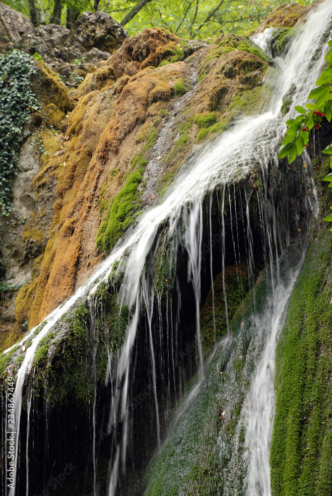 Obraz premium waterfall in the forest