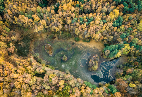 Herbstwald von oben, - Drohnenaufnahme