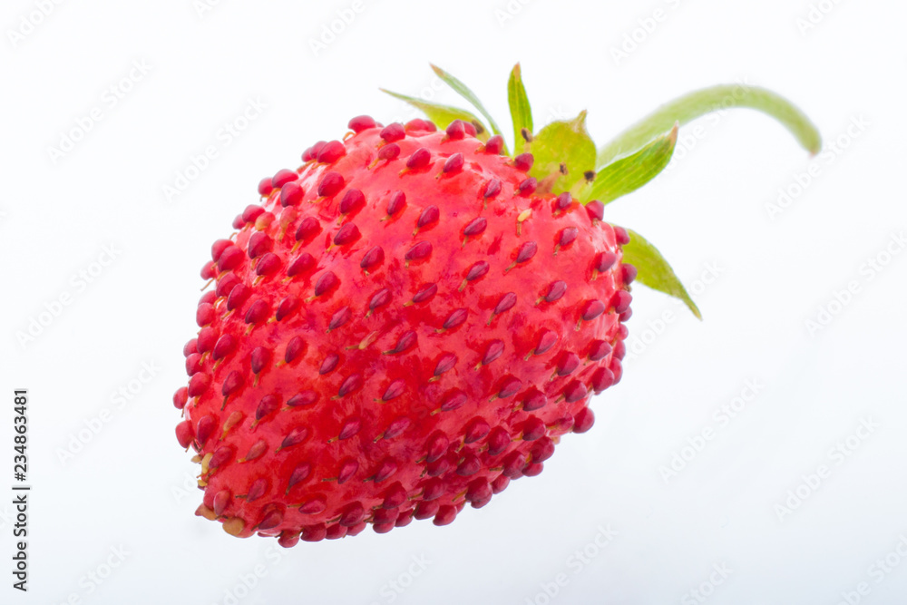 Red Wild Strawberries isolated on white Red Wild Strawberries isolated on white