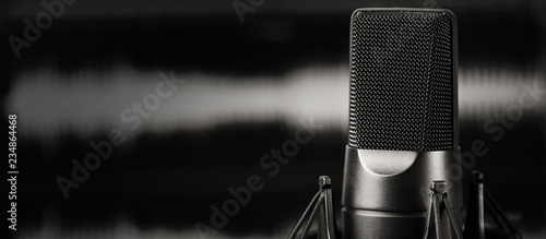 Fotografie, Obraz microphone close up. Professional mic