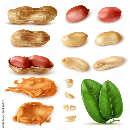 Peanut Beans Realistic Set