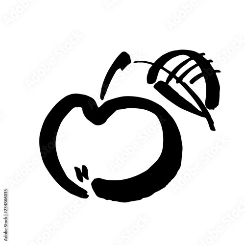 Apple vector sketch icon isolated on background. Hand drawn ink brush illustration. Icon for infographic, website or app