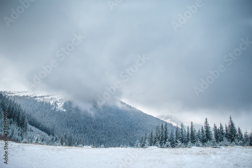 Beautiful winter landscape with snow covered trees © gankevstock