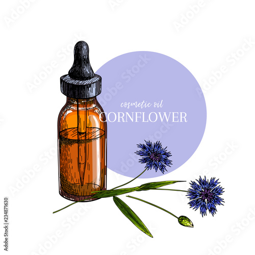 Hand drawn set of essential oils. Vector colored cornflower flower. Medicinal herb with glass dropper bottle. Engraved art. For cosmetics, medicine, treating, aromatherapy, package design health care.