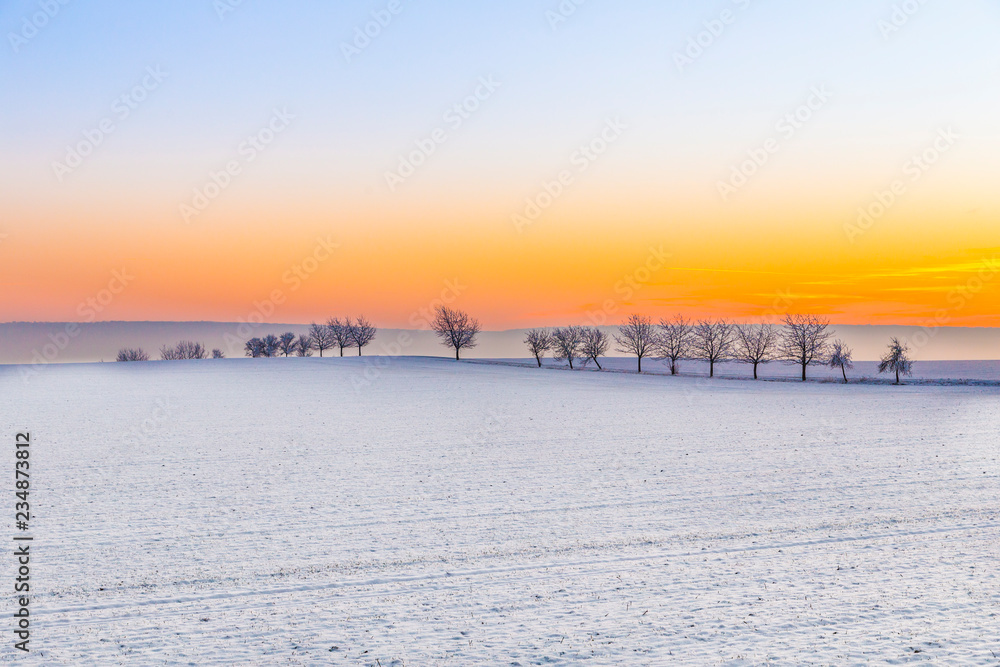 winter landscape with tree alley  in sunset