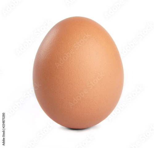 Egg isolated on white background. Cut out.