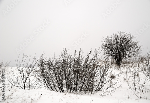 Verschneite Landschaft, Zinnwald, Cinovec, Tschechien, Europa photo