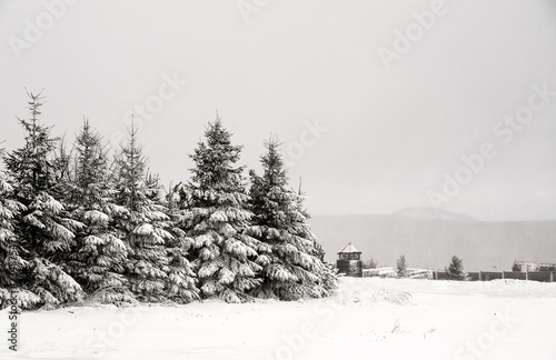 Verschneite Landschaft, Zinnwald, Cinovec, Tschechien, Europa photo