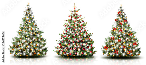 Drei WEihnachtsbäume