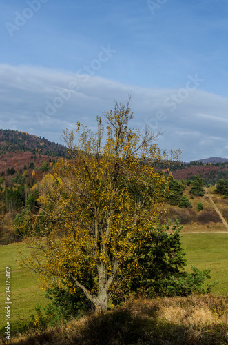 Fototapeta Naklejka Na Ścianę i Meble -  jesienna panorama 