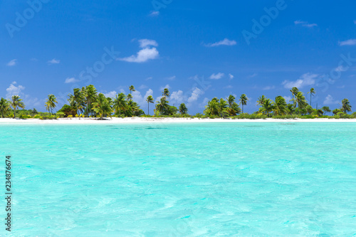 travel, seascape and nature concept - tropical beach with palm trees in french polynesia