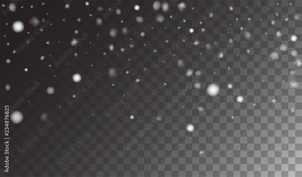 Winter Snowfall Ice Texture Vector Transparent Background. Realistic Snow Confetti Falling Down, Isolated Snowflake Scatter. Random Moving Realistic Snow Confetti, Christmas New Year Frost Decoration. Winter Snowfall Ice Texture Vector Transparent Background. Realistic Snow Confetti Falling Down, Isolated Snowflake Scatter. Random Moving Realistic Snow Confetti, Christmas New Year Frost Decoration.