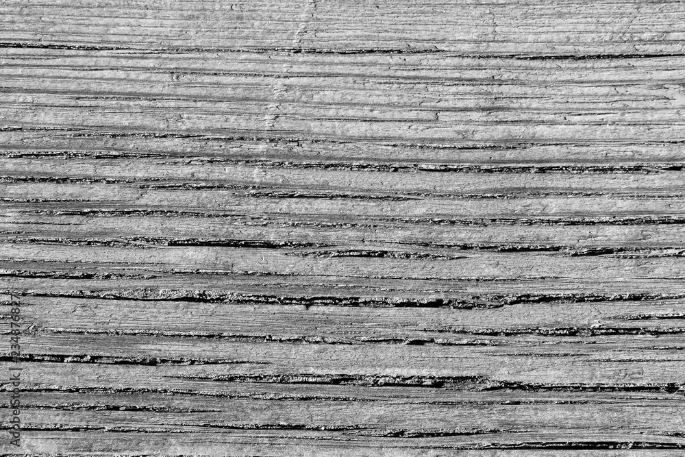black and white background. peeling paint on an old wooden floor black and white background. peeling paint on an old wooden floor