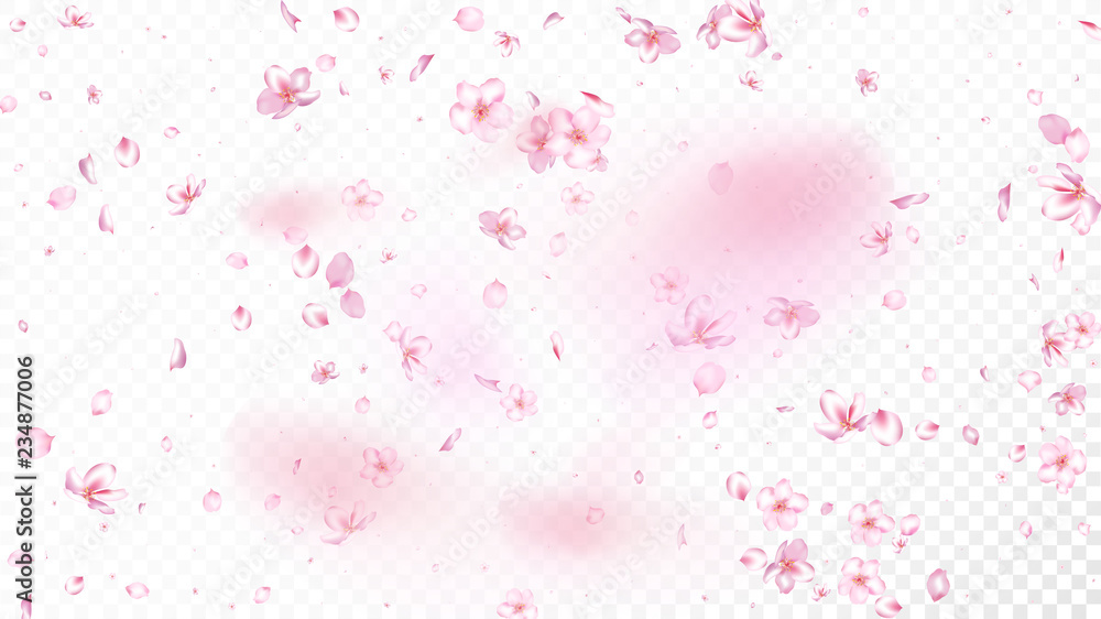 Nice Sakura Blossom Isolated Vector. Beautiful Blowing 3d Petals Wedding Design. Japanese Nature Flowers Illustration. Valentine, Mother's Day Tender Nice Sakura Blossom Isolated on White