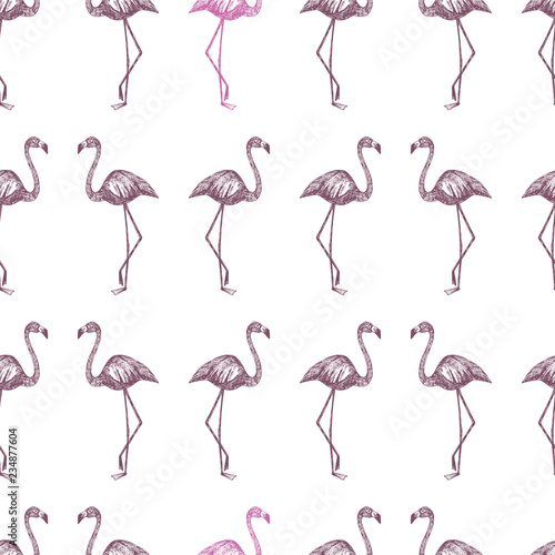 Hand drawn flamingo bordo and pink seamless white background