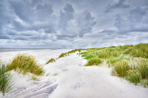 Sanddünen an der Nordsee mit weißem Sand bei stürmischem Wetter