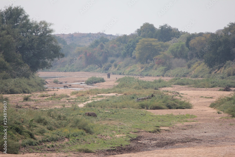 Fototapeta premium Afrika Botswana Natur Tiere
