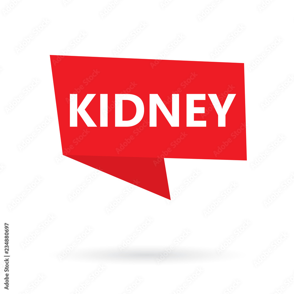 kidney word on a sticker- vector illustration
