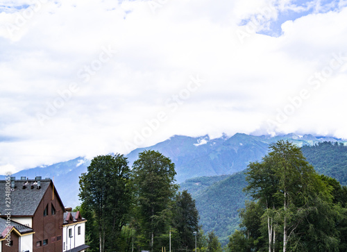Alpine mountains, forests in the foothills © Артем Молчанов