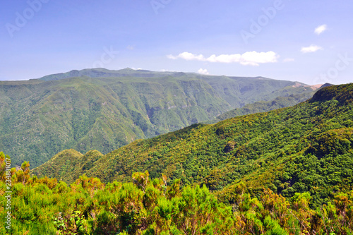 Bispo Forest Park  Madeira Island  Portugal