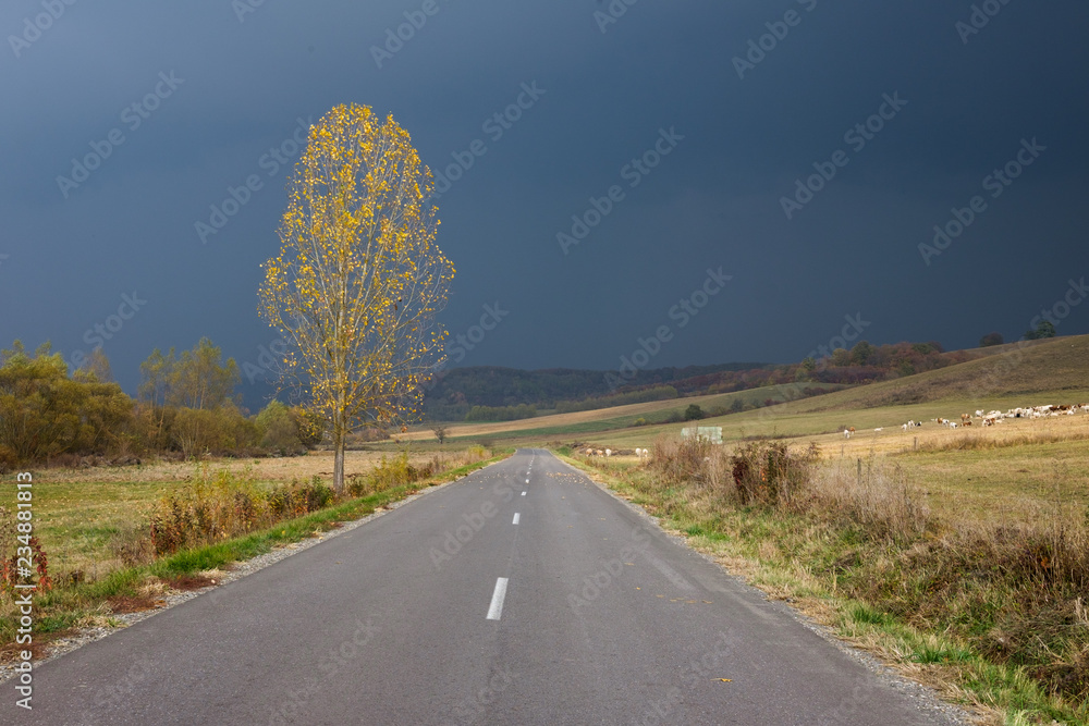 Road to the storm - Transylvania, east Europe Road to the storm - Transylvania, east Europe