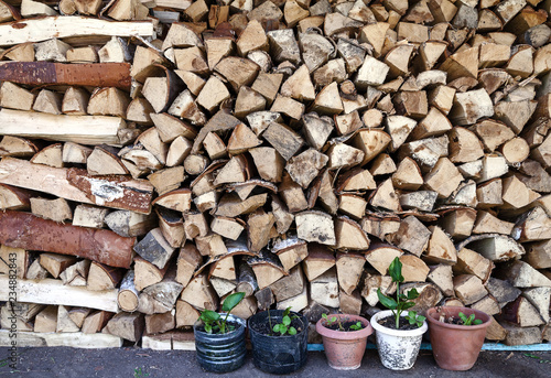 Background with rirewood and flowerpots