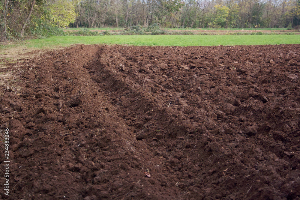 Freshly plowed field in winter season. Rural scene
Freshly plowed field in winter season. Rural scene