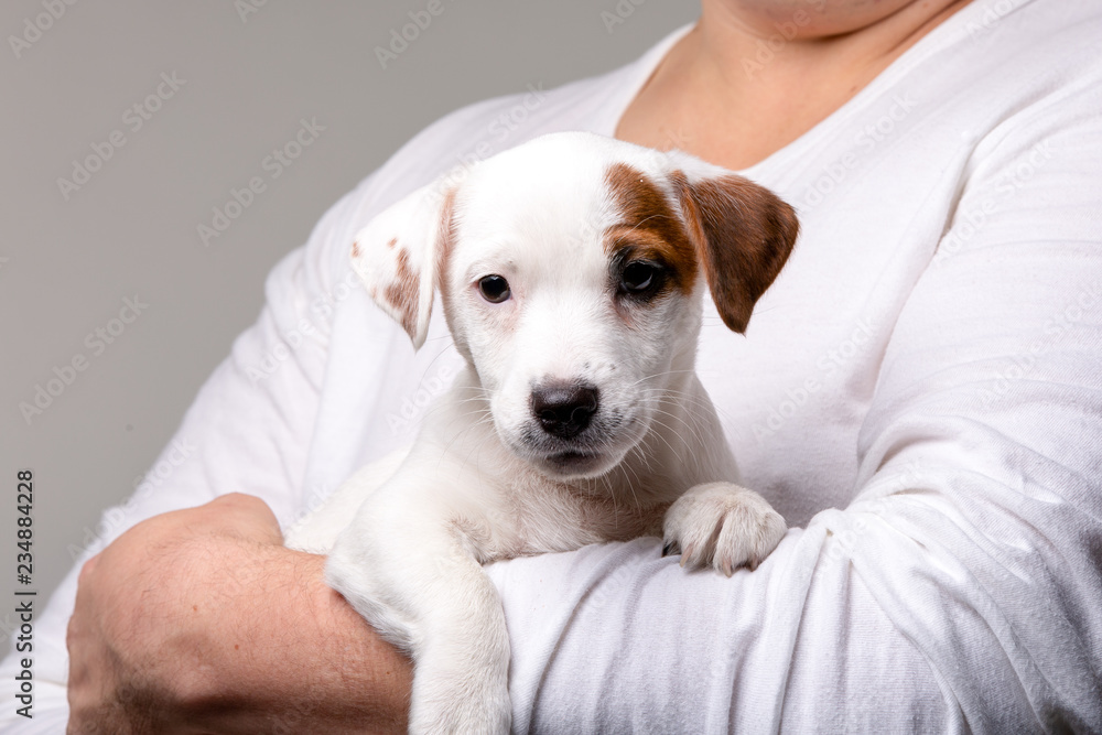 Man holds a puppy in his hands Man holds a puppy in his hands