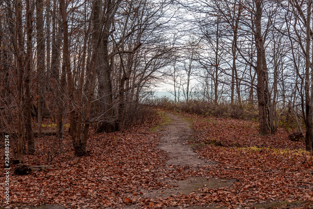 Obraz premium Late Fall Walk